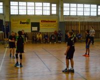 volleyball 2013 03